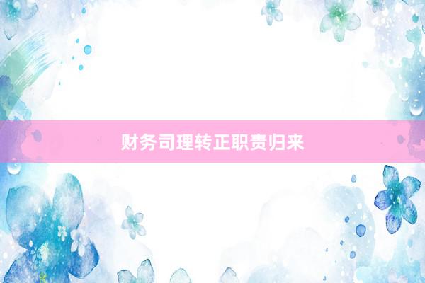 财务司理转正职责归来