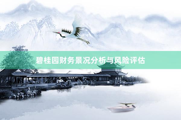 碧桂园财务景况分析与风险评估